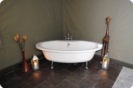 Hot tub Safari at Pentre Mawr Country House